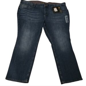 LEE BRAND WOMENS PLUS SIZE STRAIGHT SLIM FIT MID RISE BLUE JEANS SIZE 24W PETITE